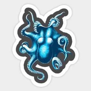 octopus Sticker